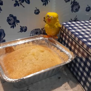 Purple Flamingo Bake-along: 9th April